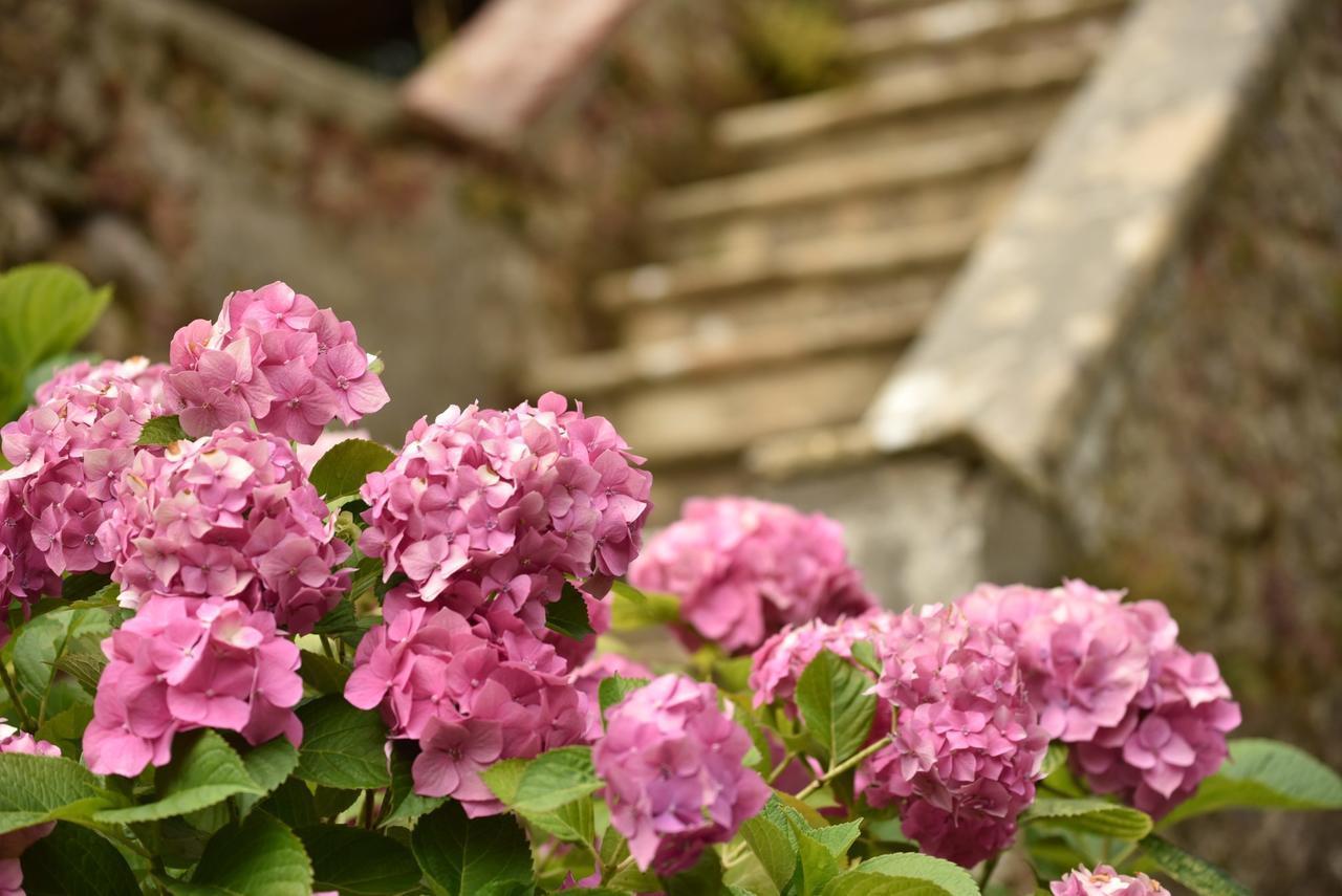 Relais Corte Rodeschi กาไมโยเร ภายนอก รูปภาพ