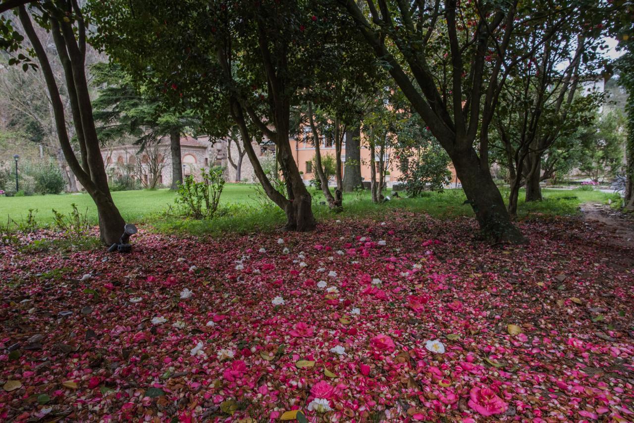Relais Corte Rodeschi กาไมโยเร ภายนอก รูปภาพ