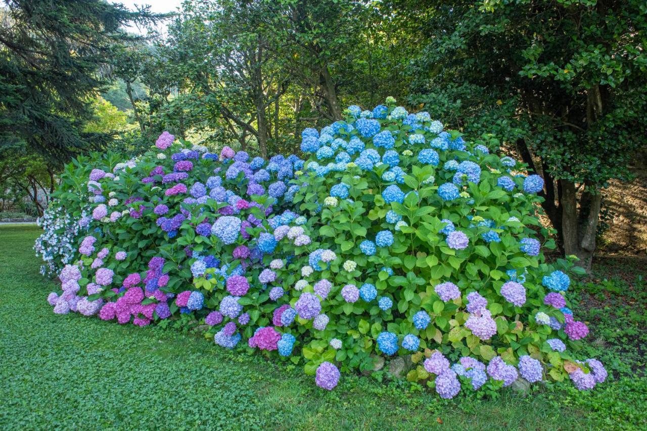 Relais Corte Rodeschi กาไมโยเร ภายนอก รูปภาพ