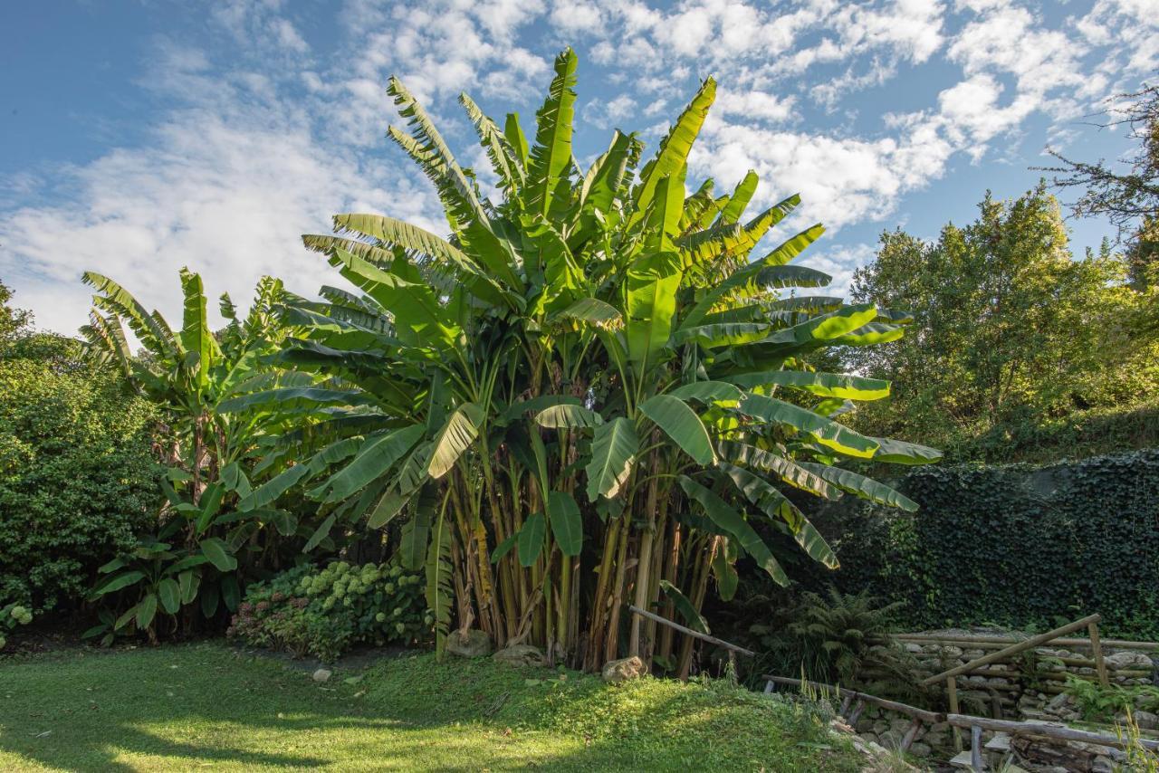 Relais Corte Rodeschi กาไมโยเร ภายนอก รูปภาพ