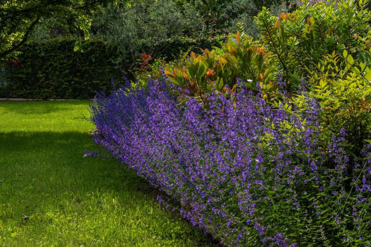 Relais Corte Rodeschi กาไมโยเร ภายนอก รูปภาพ